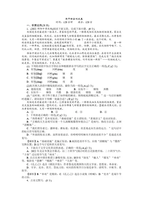 期中综合测试卷   2022-2023学年部编版语文九年级下册