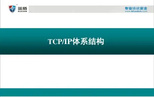 《基础IP数据网络》PPT课件