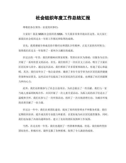 社会组织年度工作总结汇报
