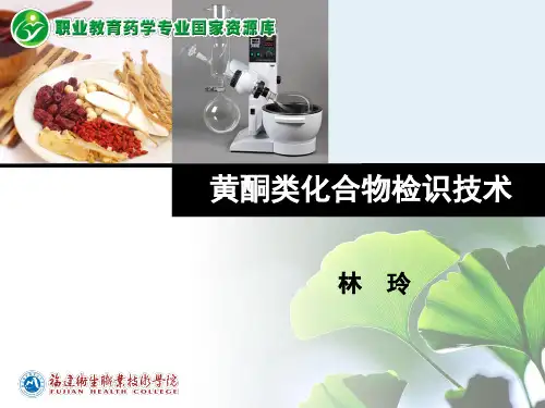 6.7-黄酮类化合物 -检识技术.