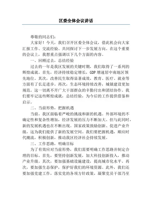 区委全体会议讲话