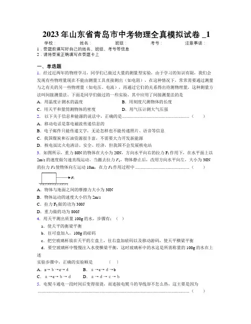 2023年山东省青岛市中考物理全真模拟试卷及解析_1