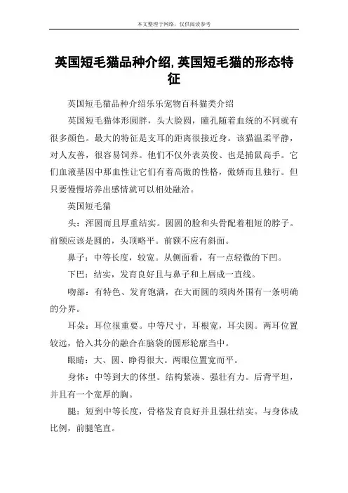 英国短毛猫品种介绍,英国短毛猫的形态特征