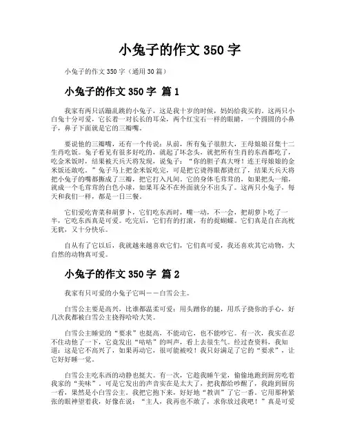 小兔子的作文350字