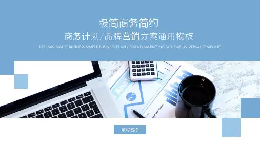 新版淡蓝极简商务计划通用模板
