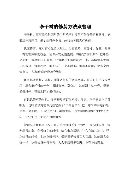 李子树的修剪方法跟管理