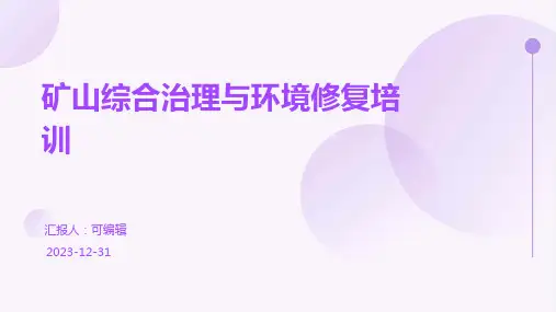 矿山综合治理与环境修复培训