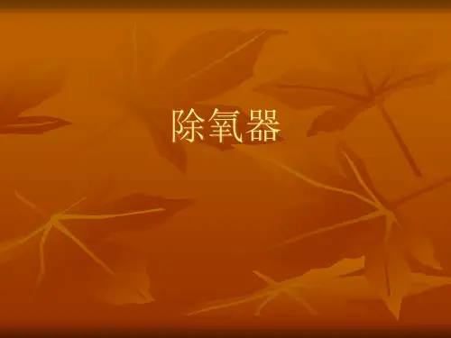 除氧器工作原理PPT课件