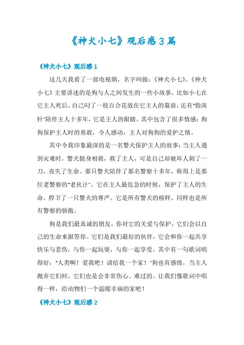 《神犬小七》观后感3篇
