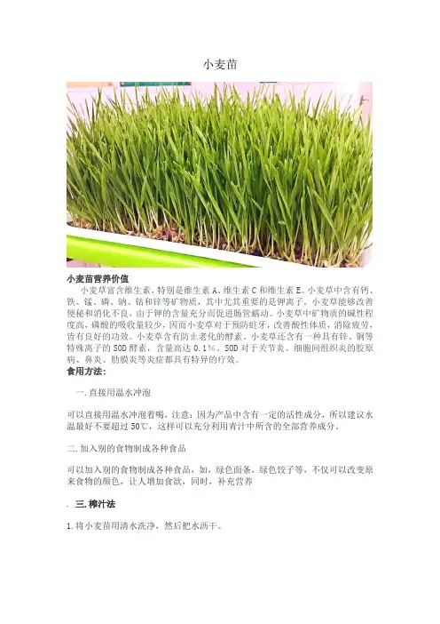 小麦苗的功效