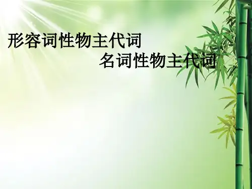 形容词性物主代词和名词性物主代词.ppt