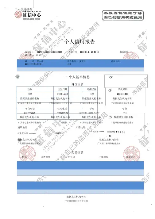 详细版征信报告模板(水印).