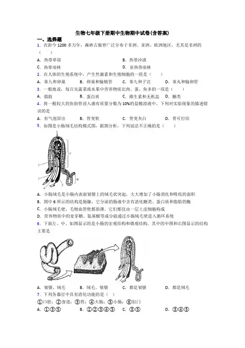 生物七年级下册期中生物期中试卷(含答案)
