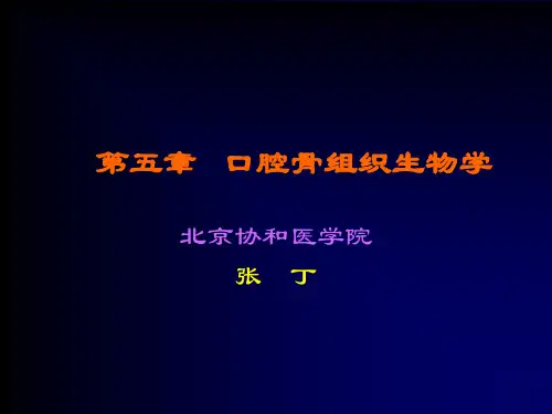 口腔骨组织生物学