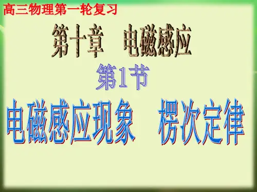 高三第一轮复习第十章第1讲 电磁感应现象  楞次定律 课件
