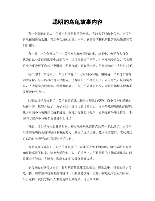 聪明的乌龟故事内容