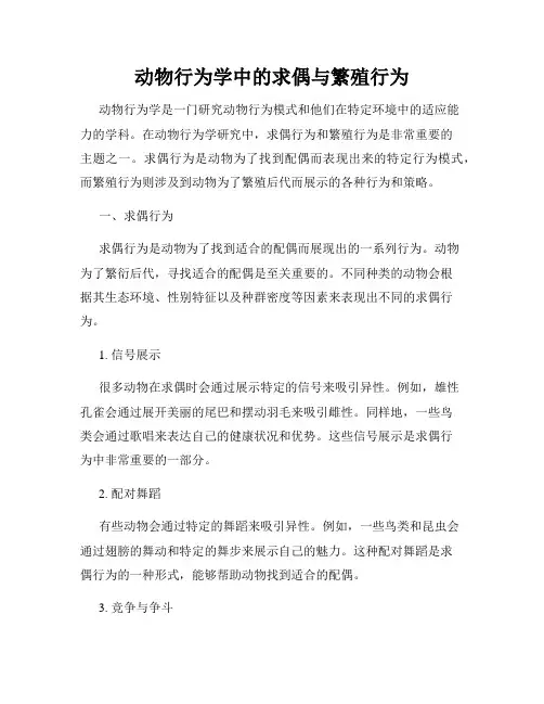 动物行为学中的求偶与繁殖行为