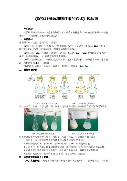 《探究酵母菌细胞呼吸的方式》说课稿(全国实验说课大赛获奖案例)