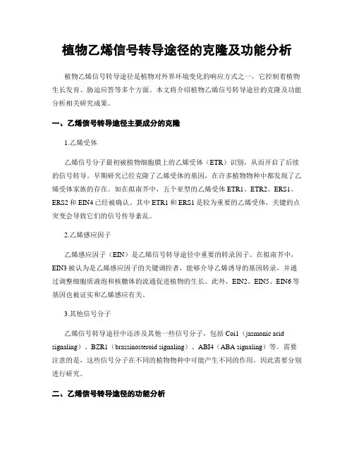 植物乙烯信号转导途径的克隆及功能分析