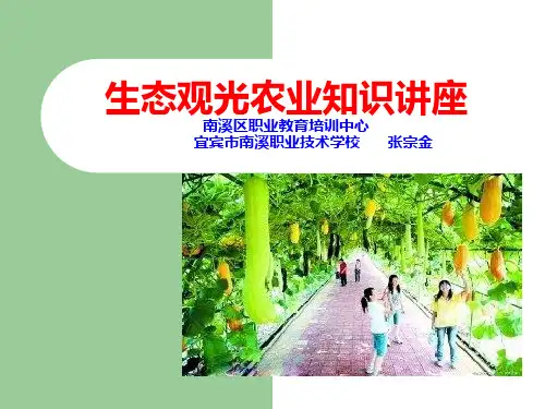 生态观光农业