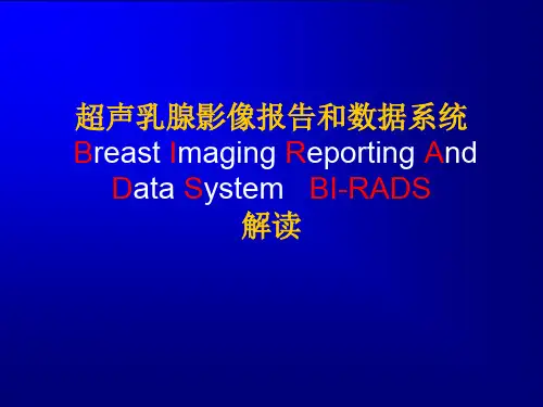 乳腺分级 PPT课件