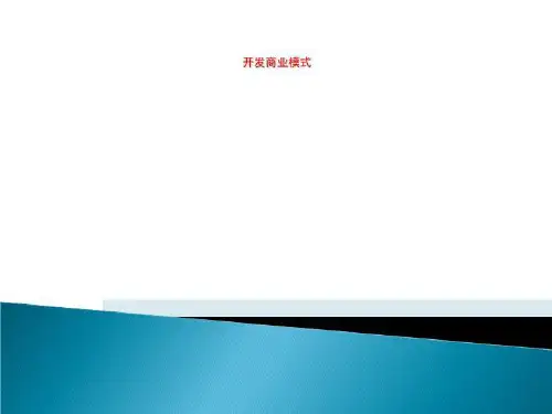 开发商业模式