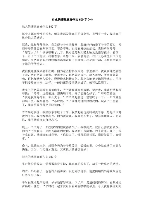 什么的感觉真好作文600字