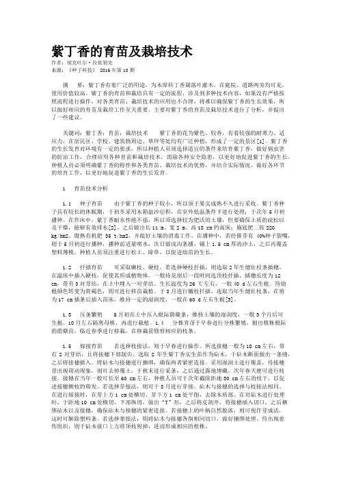紫丁香的育苗及栽培技术
