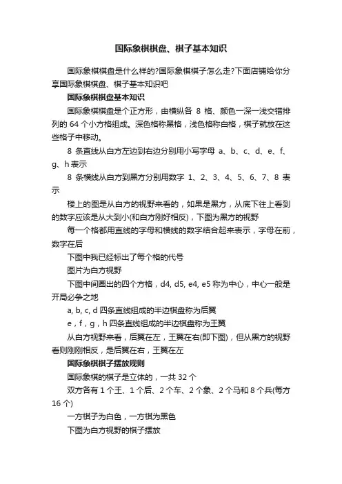 国际象棋棋盘、棋子基本知识
