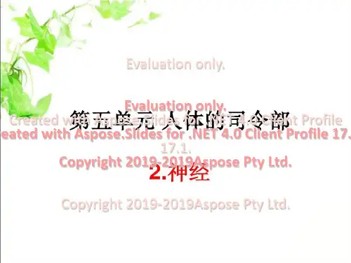 苏教版五年级下册科学神经36页PPT