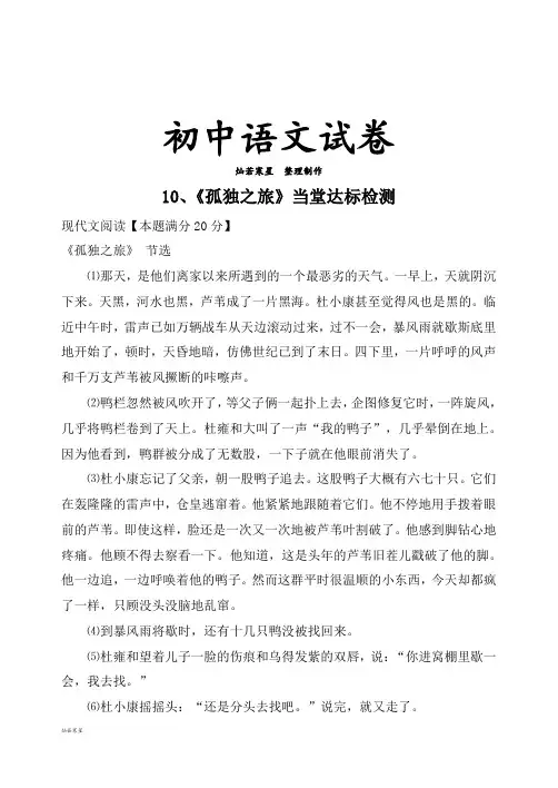 人教版九年级上册语文10、《孤独之旅》当堂达标检测及答案