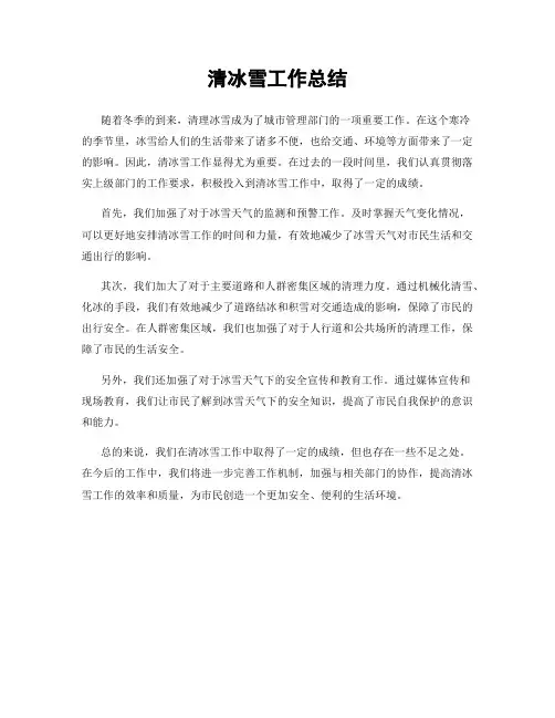 清冰雪工作总结