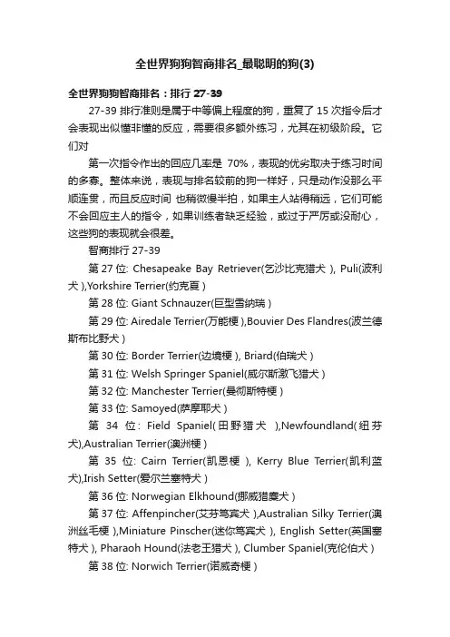 全世界狗狗智商排名_最聪明的狗（3）