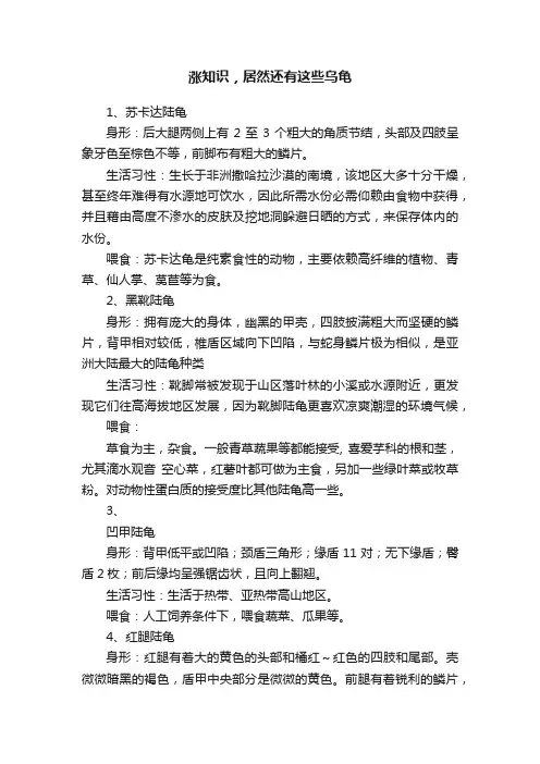 涨知识，居然还有这些乌龟