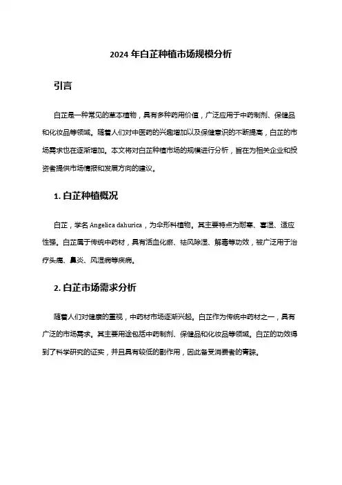 2024年白芷种植市场规模分析