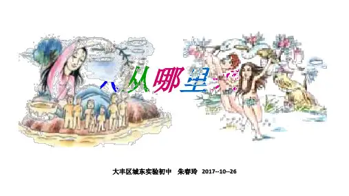 第四节人类的起源和进化