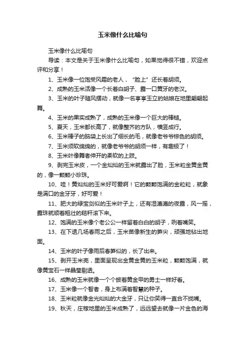 玉米像什么比喻句