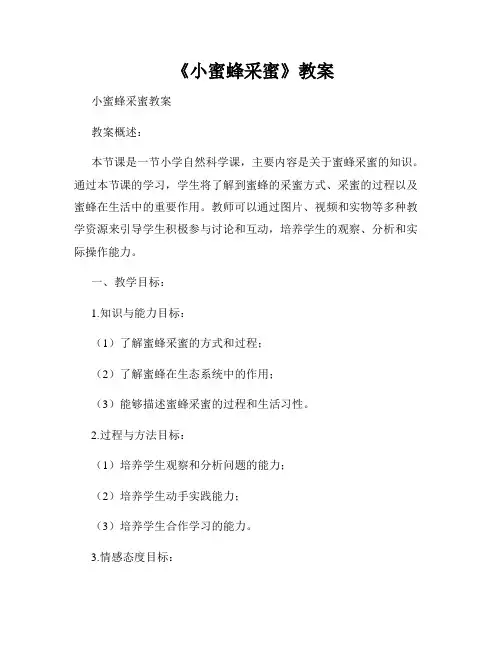  《小蜜蜂采蜜》教案