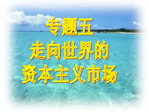 开辟文明交往的航线ppt3 人民版