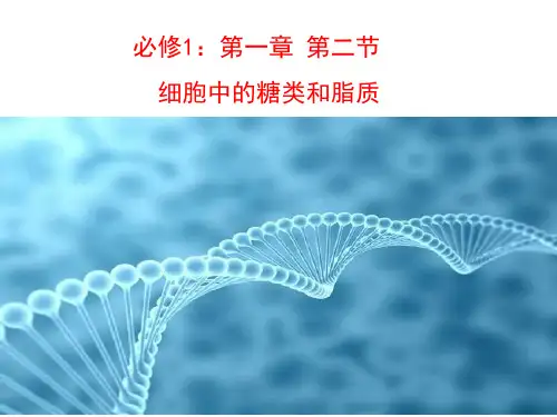 【高中生物】苏教版必修1课件：第一章 第二节 细胞中的糖类和脂质