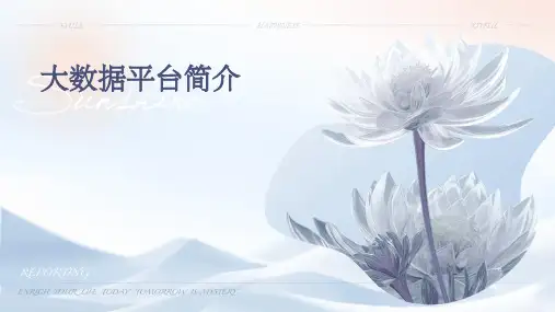 大数据平台简介