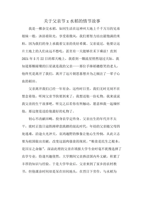 关于父亲节x水稻的情节故事