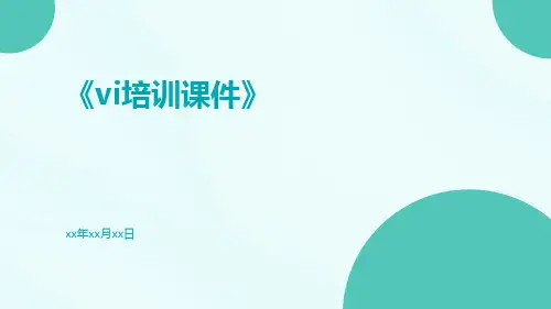 VI培训课件