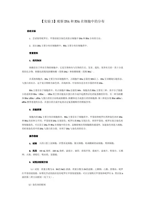 观察DNA和RNA在细胞中的分布