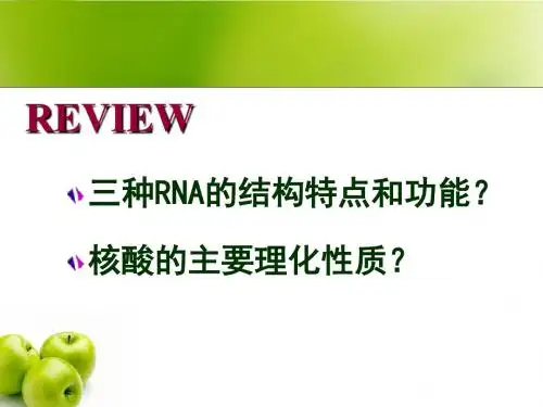 维生素与无机物课件