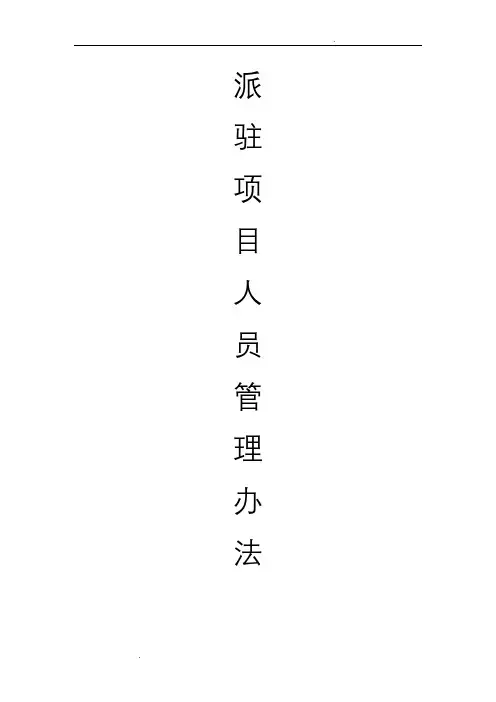派驻项目人员管理办法