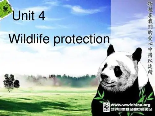 人教新课标英语必修二UNIT4 language points公开课精品课件