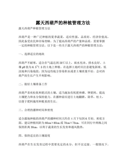 露天西葫芦的种植管理方法