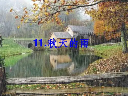 公开课《秋天的雨》第二课时ppt课件