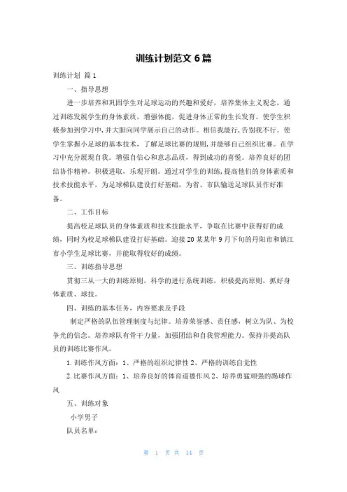训练计划范文6篇